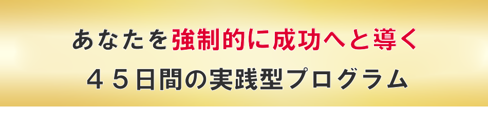 あなたを強制的に成功へと導く45日間のプログラム